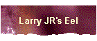 Larry JR's Eel