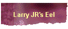 Larry JR's Eel