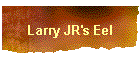 Larry JR's Eel